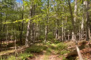 8939 Hawbottom Rd, Middletown, MD 21769 - Photo 66