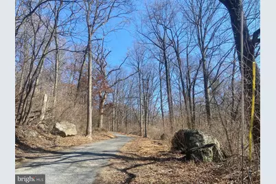 8939 Hawbottom Road, Middletown, MD 21769 - Photo 54