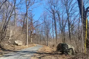 8939 Hawbottom Rd, Middletown, MD 21769 - Photo 54