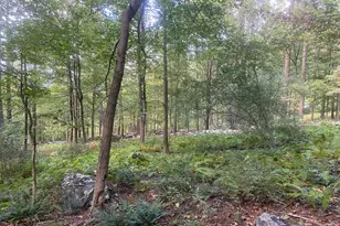 8939 Hawbottom Rd, Middletown, MD 21769 - Photo 60