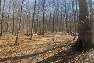 8939 Hawbottom Rd, Middletown, MD 21769 - Photo 40