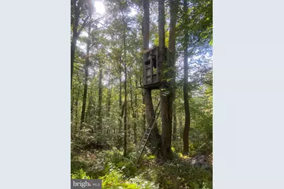 8939 Hawbottom Road, Middletown, MD 21769 - Photo 68