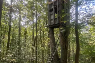 8939 Hawbottom Rd, Middletown, MD 21769 - Photo 68