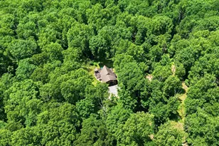 8939 Hawbottom Rd, Middletown, MD 21769 - Photo 10