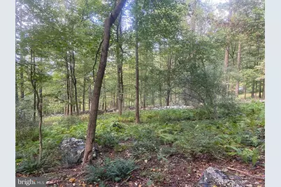 8939 Hawbottom Road, Middletown, MD 21769 - Photo 72