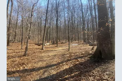8939 Hawbottom Road, Middletown, MD 21769 - Photo 52