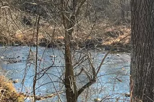 2834 E Boss Arnold Rd, Jefferson, MD 21755 - Photo 12