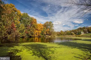 6653 E Lakeridge Rd, New Market, MD 21774 - Photo 38