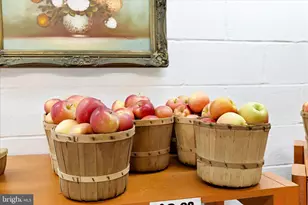 13839 Pryor Rd, Thurmont, MD 21788 - Photo 64