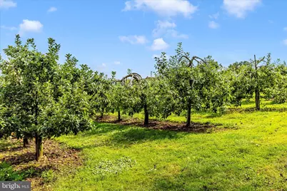 13839 Pryor Road, Thurmont, MD 21788 - Photo 66