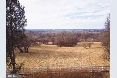 3415 Tudor Drive, Adamstown, MD 21710 - Photo 54