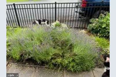 5506 Jefferson Pike, Frederick, MD 21703 - Photo 10