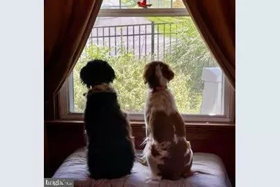 5506 Jefferson Pike, Frederick, MD 21703 - Photo 8