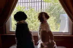 5506 Jefferson Pike, Frederick, MD 21703 - Photo 8