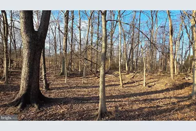 10 Radio Lane, Thurmont, MD 21788 - Photo 8