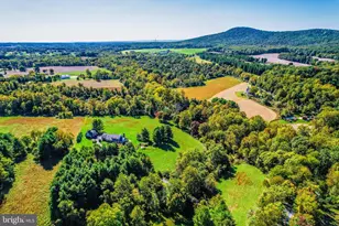 1402 Thurston Rd, Dickerson, MD 20842 - Photo 54