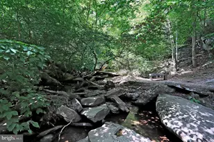 5723 Meadowood St, New Market, MD 21774 - Photo 56