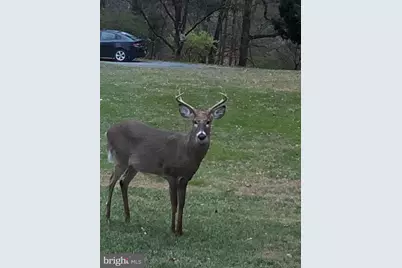 7206 Drought Spring Drive, Frederick, MD 21702 - Photo 44