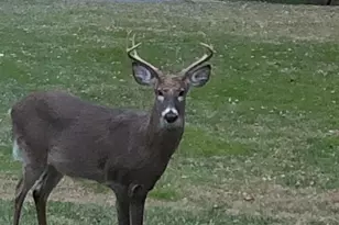 7206 Drought Spring Dr, Frederick, MD 21702 - Photo 44