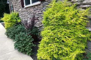 7206 Drought Spring Dr, Frederick, MD 21702 - Photo 42