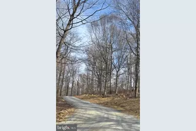 16015 Foxville Deerfield Road, Sabillasville, MD 21780 - Photo 4