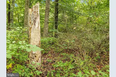 16015 Foxville Deerfield Road, Sabillasville, MD 21780 - Photo 10