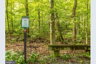 16015 Foxville Deerfield Road, Sabillasville, MD 21780 - Photo 14