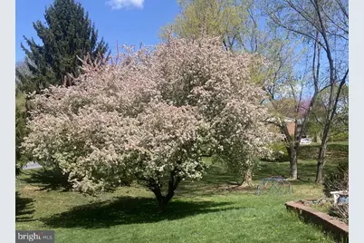 4205 Rolling Acres Drive, Mount Airy, MD 21771 - Photo 6