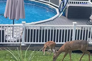 6348 Quinn Rd, Frederick, MD 21701 - Photo 8