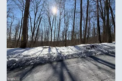 Boonsboro Mt. Road, Myersville, MD 21773 - Photo 6