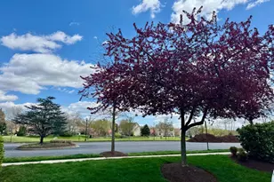 1791 Wheyfield Dr, Frederick, MD 21701 - Photo 34