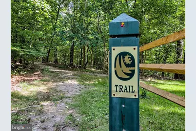 6724 Hemlock Point Road, New Market, MD 21774 - Photo 8