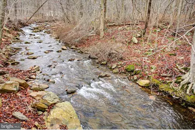 16024 Foxville Deerfield Road, Sabillasville, MD 21780 - Photo 70