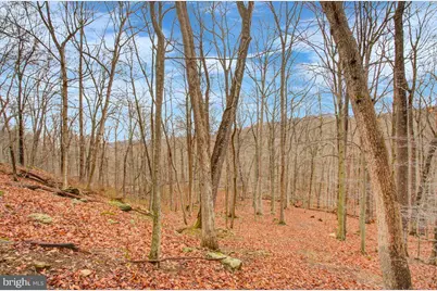 16024 Foxville Deerfield Road, Sabillasville, MD 21780 - Photo 76