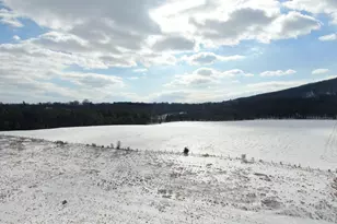 Tract 1: 108+/- Acres At 16751 Scott Rd, Emmitsburg, MD 21727 - Photo 18