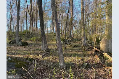 12509 Stottlemyer Road, Myersville, MD 21773 - Photo 14