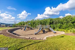 6035 Fallfish, New Market, MD 21774 - Photo 58