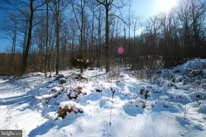 8511 Rosebud Court, Middletown, MD 21769 - Photo 6