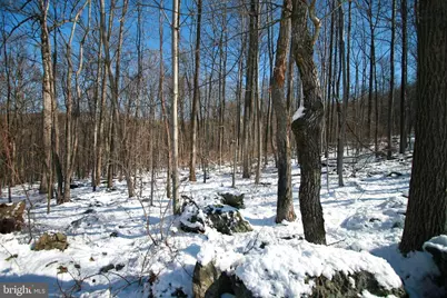 8511 Rosebud Court, Middletown, MD 21769 - Photo 8