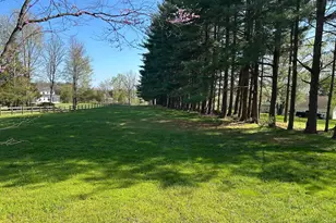 8730 Mapleville, Mount Airy, MD 21771 - Photo 76