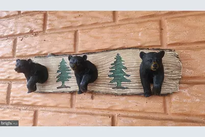 13533 Catoctin Hollow, Thurmont, MD 21788 - Photo 58