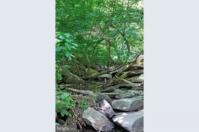 10138 Stonecat Mews, New Market, MD 21774 - Photo 38