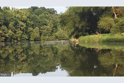 10138 Stonecat Mews, New Market, MD 21774 - Photo 24