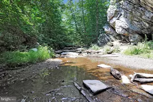 10138 Stonecat Mews, New Market, MD 21774 - Photo 60