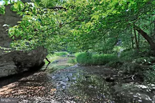 10138 Stonecat Mews, New Market, MD 21774 - Photo 80