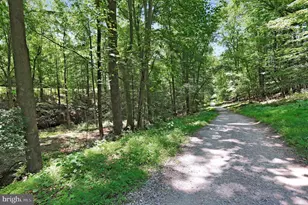 10138 Stonecat Mews, New Market, MD 21774 - Photo 58