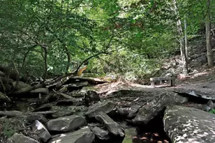 10138 Stonecat Mews, New Market, MD 21774 - Photo 84