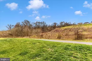 1007 Shenandoah View Pkwy, Brunswick, MD 21716 - Photo 46