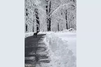 13533 Catoctin Hollow, Thurmont, MD 21788 - Photo 68