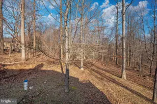 7796 Old Receiver Rd, Frederick, MD 21702 - Photo 60